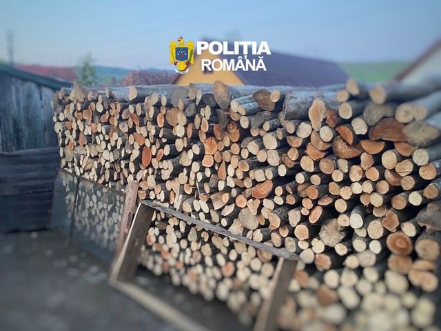 Poliţia Română: Faptele ilicite din domeniul silvic, în scădere cu 4% în primele trei luni din acest an faţă de 2025 / Aroape 2.800 de dodare penale, în care sunt cercetate 600 de persoane