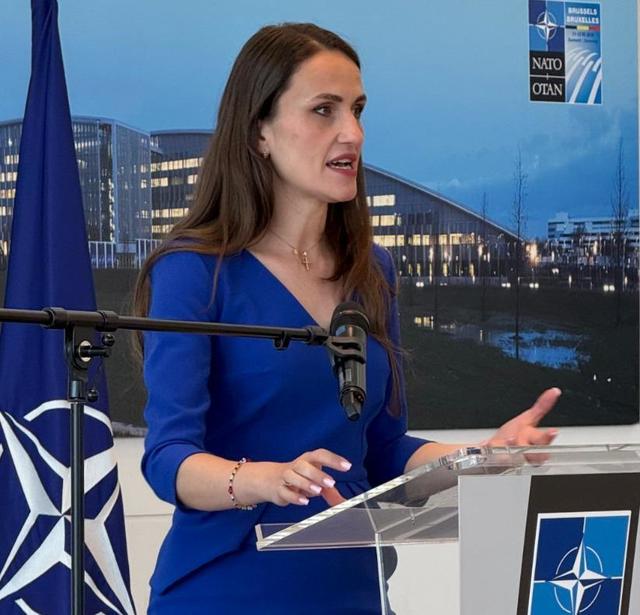 România, în centrul deciziilor NATO privind ameninţările hibride. Bucureştiul va găzdui Simpozionul Anual al NATO pe teme hibride în octombrie 2026/ Obiectivul, coordonarea strategiilor de răspuns la ameninţări