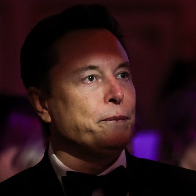 „Un flamingo roz în tutu fluorescent”: Elon Musk îi atacă pe magistraţii francezi cu afirmaţii homofobe
