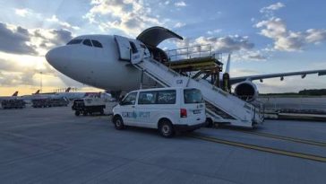 ANSVSA: În premieră, România livrează peste 4.000 de oi în Algeria cu avioane cargo/ Algeria a decis ca întreg necesarul pentru anul 2026, inclusiv pentru sărbătoarea Eid el-Adha, să fie asigurat exclusiv din România – FOTO