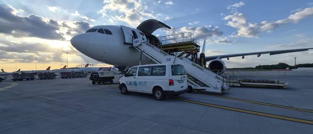 ANSVSA: În premieră, România livrează peste 4.000 de oi în Algeria cu avioane cargo/ Algeria a decis ca întreg necesarul pentru anul 2026, inclusiv pentru sărbătoarea Eid el-Adha, să fie asigurat exclusiv din România – FOTO
