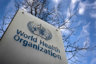 Focarul de hantavirus izbucnit la bordul unei nave de croazieră nu reprezintă începutul unei pandemii, a transmis Organizaţia Mondială a Sănătăţii