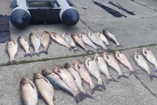 Peste 200 de kilograme de peşte prins ilegal, ridicat de Poliţia de frontieră din zonele Islaz, judeţul Teleorman şi Canalul 2 Midia, Constanţa