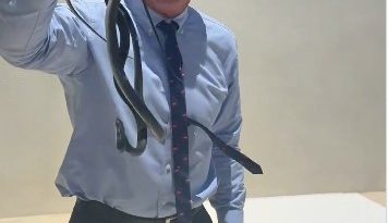 Robert Kennedy Jr. publică un videoclip în care apare prinzând doi şerpi cu mâinile goale – VIDEO