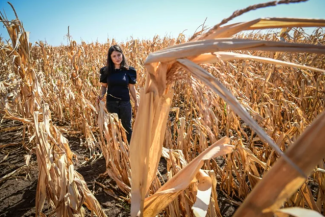 Agricultorii europeni solicită Comisiei Europene să facă ordine pe piaţa îngrăşămintelor pentru a elimina speculaţiile excesive. Bercu, AAC: „Agricultura funcţionează în timp real, nu în retrospectivă”