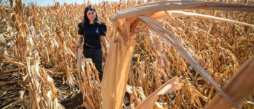 Agricultorii europeni solicită Comisiei Europene să facă ordine pe piaţa îngrăşămintelor pentru a elimina speculaţiile excesive. Bercu, AAC: „Agricultura funcţionează în timp real, nu în retrospectivă”