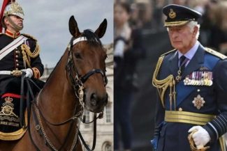 Un soldat a murit după ce a căzut de pe cal la Royal Windsor Horse Show; regele Charles s-a declarat ”şocat şi profund întristat”
