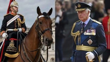 Un soldat a murit după ce a căzut de pe cal la Royal Windsor Horse Show; regele Charles s-a declarat ”şocat şi profund întristat”