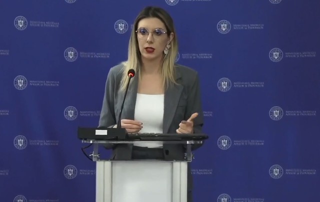 Diana Buzoianu: Parlamentarii care vor vota să pice Guvernul vor vota să saboteze o ţară întreagă/ PSD, votând împotriva acestei coaliţii, reîntoarce ţara asta într-o situaţie de criză