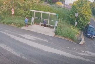 Cluj: Urs filmat în apropierea unei staţii de autobuz, în comuna Apahida / Recomandările autorităţilor