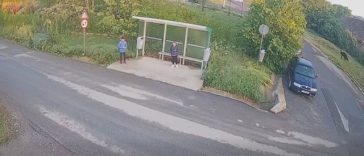 Cluj: Urs filmat în apropierea unei staţii de autobuz, în comuna Apahida / Recomandările autorităţilor