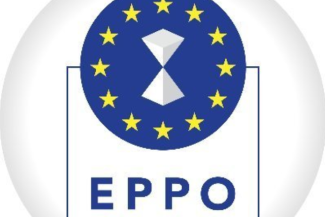 Primar din Bihor, prins în flagrant luând mită, de către procurori ai Parchetului Europen