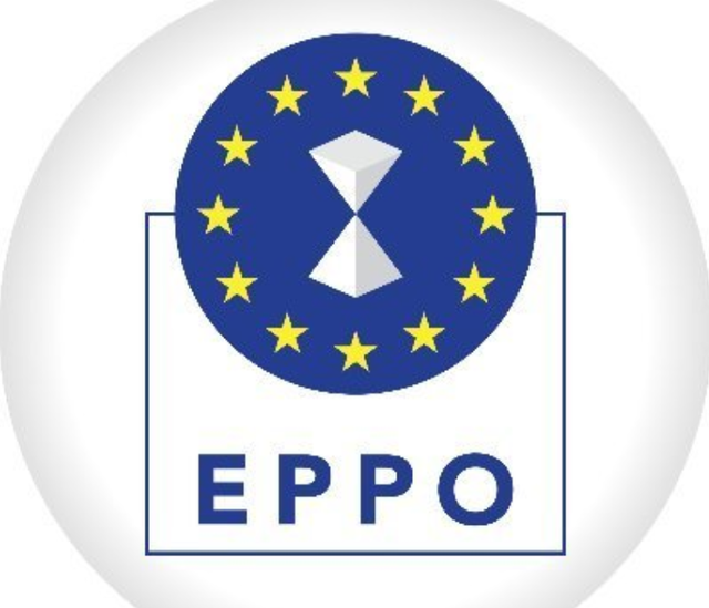 Primar din Bihor, prins în flagrant luând mită, de către procurori ai Parchetului Europen