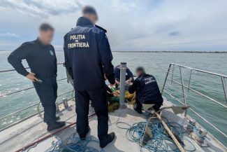 Poliţiştii de frontieră au salvat 17 sturioni care fusese prinşi în plase ilegale în Marea Neagră – VIDEO