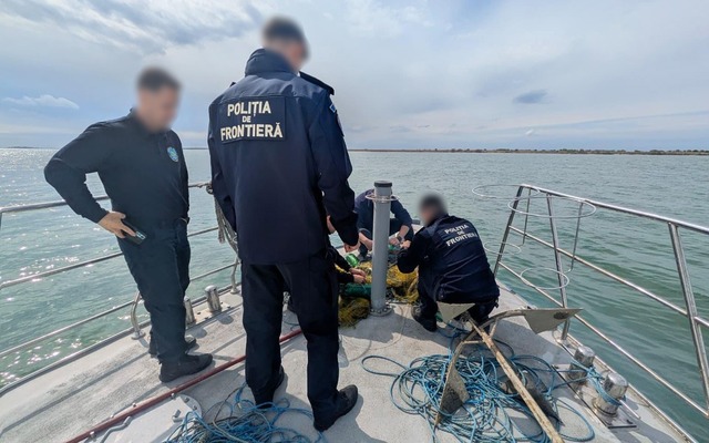 Poliţiştii de frontieră au salvat 17 sturioni care fusese prinşi în plase ilegale în Marea Neagră – VIDEO