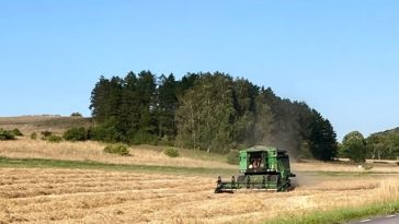 Doi cetăţeni moldoveni, tată şi fiu, trimişi în judecată pentru înşelăciune cu cereale ucrainene, vândute de două societăţi din Slovacia şi Lituania/ Prejudiciul adus acestor societăţi, aproape 900.000 de euro