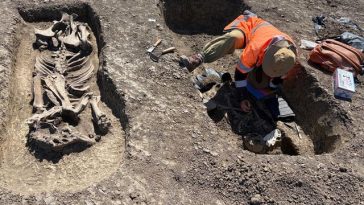 Scheletul unui războinic îngropat alături de calul său, piese din aur, argint şi bronz, descoperite pe traseul Centurii Vest Timişoara – FOTO
