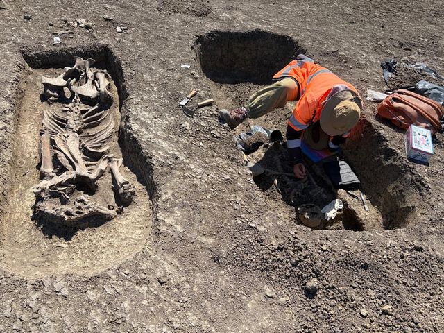 Scheletul unui războinic îngropat alături de calul său, piese din aur, argint şi bronz, descoperite pe traseul Centurii Vest Timişoara – FOTO