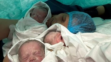 Tripleţi născuţi la Maternitatea Bega din Timişoara/ Darko, Milan şi Deian au avut împreună, la naştere, aproape 6 kilograme