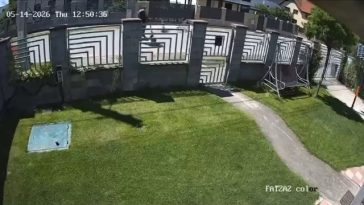 Copil de 14 ani din Timiş, în comă la spital, după ce a căzut cu trotineta electrică/ A plecat de la şcoală împreună cu alţi colegi