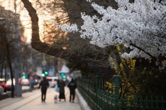 ANM: Temperaturi uşor mai ridicate decât cele specifice perioadei, în vest, nord-vest şi centru, şi apropiate de cele normale, în rest, până la finalul lunii mai