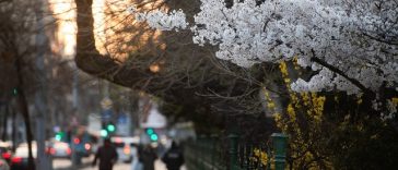 ANM: Temperaturi uşor mai ridicate decât cele specifice perioadei, în vest, nord-vest şi centru, şi apropiate de cele normale, în rest, până la finalul lunii mai