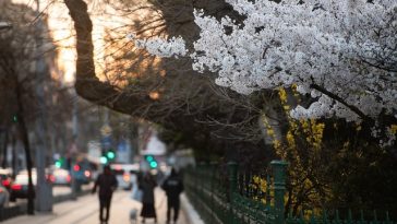 ANM: Temperaturi uşor mai ridicate decât cele specifice perioadei, în vest, nord-vest şi centru, şi apropiate de cele normale, în rest, până la finalul lunii mai