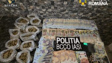 Cocaină vândută într-o vulcanizare din Iaşi/ Clienţii cumpărau cocaină cu 500 de lei gramul/ Cinci persoane au fost arestate pentru trafic de droguri – FOTO