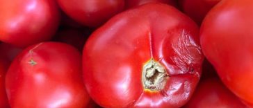 Amenzi de peste 5 milioane de lei, date de ANPC în această săptămână / Activitatea a nouă operatori economici, oprită temporar / Printre nereguli: alimente expirate, produse cu ambalaje depreciate, acumulări de gheaţă în ambalajul produselor congelate