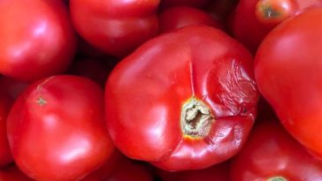 Amenzi de peste 5 milioane de lei, date de ANPC în această săptămână / Activitatea a nouă operatori economici, oprită temporar / Printre nereguli: alimente expirate, produse cu ambalaje depreciate, acumulări de gheaţă în ambalajul produselor congelate