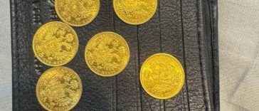 Trei bărbaţi, acuzaţi de mai multe infracţiuni, inclusiv că au furat ducaţi imperiali habsburgi dintr-o casă din Austria, cercetaţi – Percheziţii în Satu Mare