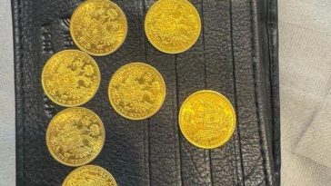 Trei bărbaţi, acuzaţi de mai multe infracţiuni, inclusiv că au furat ducaţi imperiali habsburgi dintr-o casă din Austria, cercetaţi – Percheziţii în Satu Mare
