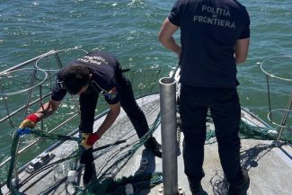 Patru sturioni prinşi în plase ilegale, în Marea Neagră, salvaţi de poliţiştii de frontieră