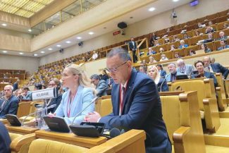 Fifor: Declarația AP NATO condamnă explicit incursiunile dronelor rusești în spațiul aerian al României