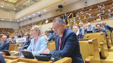 Fifor: Declarația AP NATO condamnă explicit incursiunile dronelor rusești în spațiul aerian al României