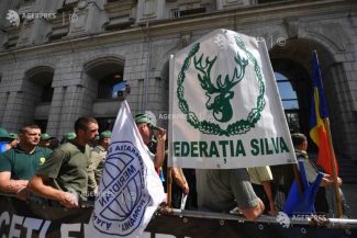 Federația Silva: Noua lege a salarizării va conduce la reducerea cu 25% a veniturilor pentru mii de silvicultori
