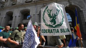 Federația Silva: Noua lege a salarizării va conduce la reducerea cu 25% a veniturilor pentru mii de silvicultori