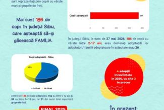Sibiu: Copiii mici și sănătoși, adoptați cel mai ușor; adolescenții și frații, cel mai greu