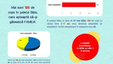 Sibiu: Copiii mici și sănătoși, adoptați cel mai ușor; adolescenții și frații, cel mai greu