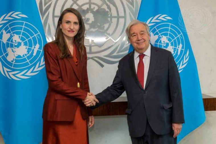 Întâlnire Oana Țoiu – Secretarul general al ONU: Viziune comună asupra incidentului cu drona rusă în România