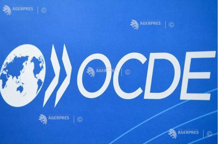 Oana Țoiu – la reuniunea ministerială anuală a Consiliului OCDE