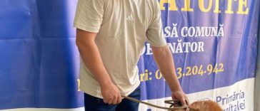 ASPA: 193 de câini, capturați în luna mai; 450 de sterilizări gratuite, în acest an