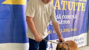 ASPA: 193 de câini, capturați în luna mai; 450 de sterilizări gratuite, în acest an