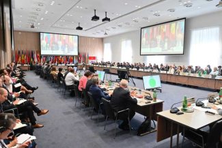 Reuniune OSCE: 43 de state participante au prezentat declarații de sprijin și solidaritate cu România
