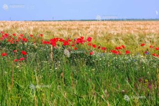 Comisia Europeană a rambursat României peste 1,1 miliarde de euro pentru investiții în agricultură și dezvoltare rurală