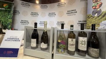 Bihor: Peste 300 de vinuri sunt prezentate la Salonul Millésime din Cetatea Oradea