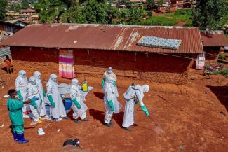 Ebola / Aproape 500 de cazuri confirmate în Africa Centrală (OMS)