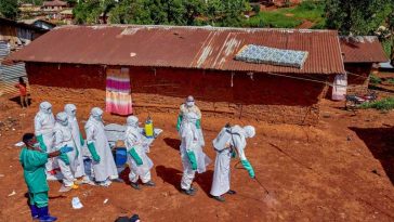Ebola / Aproape 500 de cazuri confirmate în Africa Centrală (OMS)