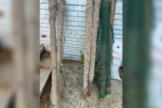 Poliția de Frontieră: Șase percheziții în Teleorman și Olt, la persoane suspectate de braconaj piscicol