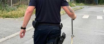 VIDEO Galați: Un șarpe lung de doi metri, îndepărtat de jandarmi după ce a fost observat de un grup de copii pe biciclete